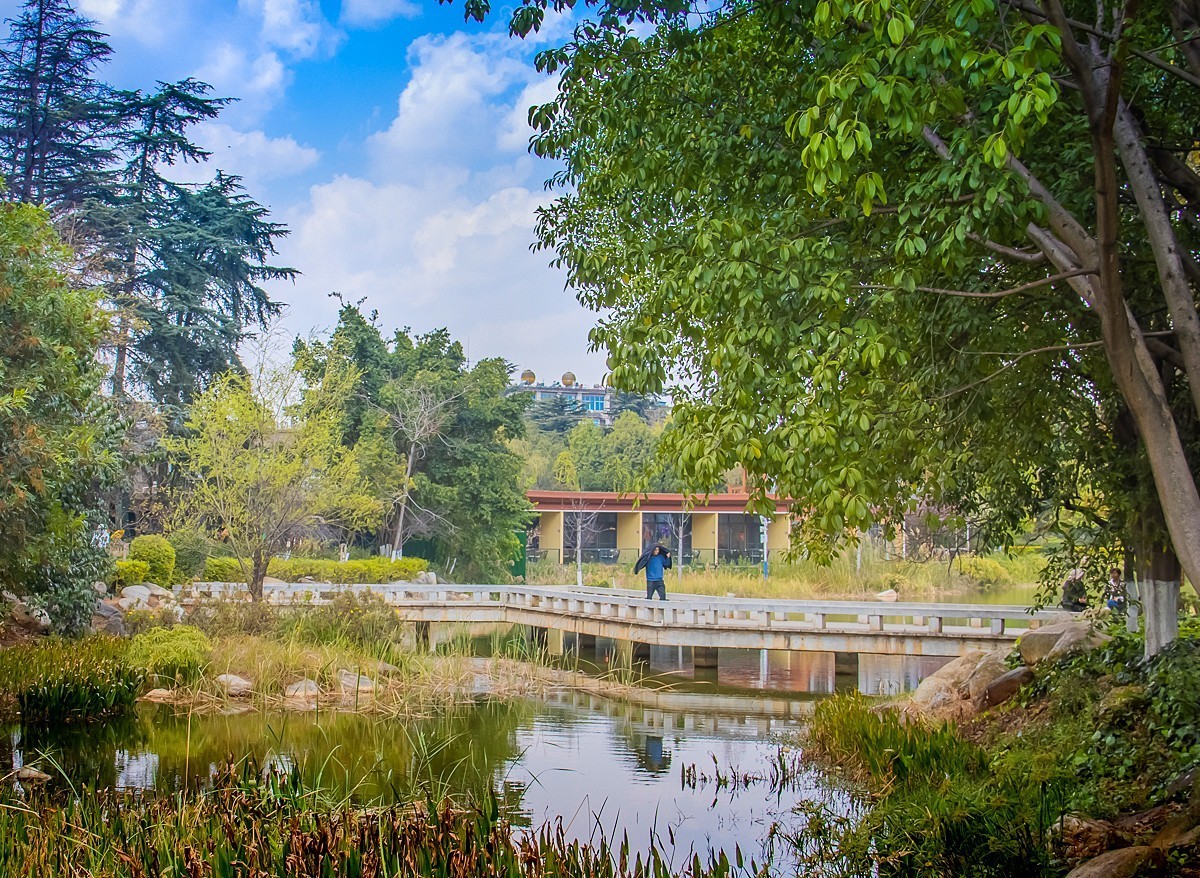 2025-06-06云南玉溪聂耳公园（一）