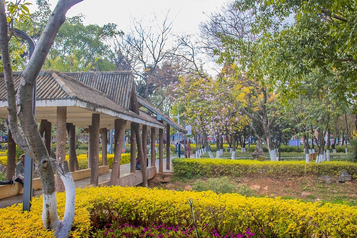 2025-06-06云南玉溪聂耳公园（一）