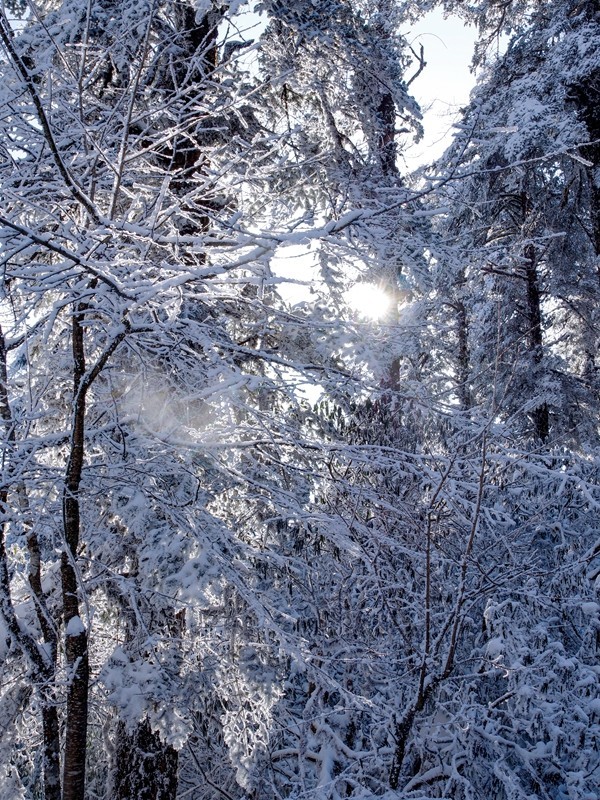 四川洪雅---探雪瓦屋山【19】续完