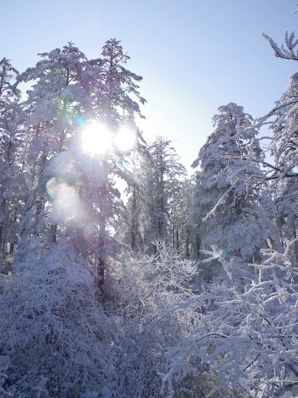 四川洪雅---探雪瓦屋山【19】续完
