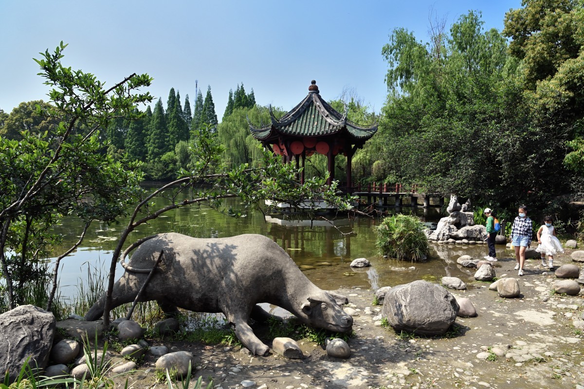 棠湖公园风景（二）