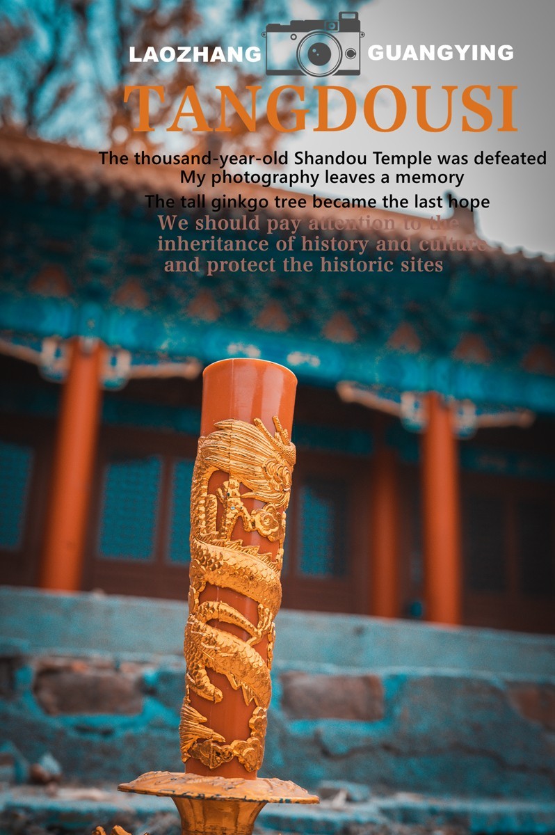 【老张光影】银杏飘零淌豆寺