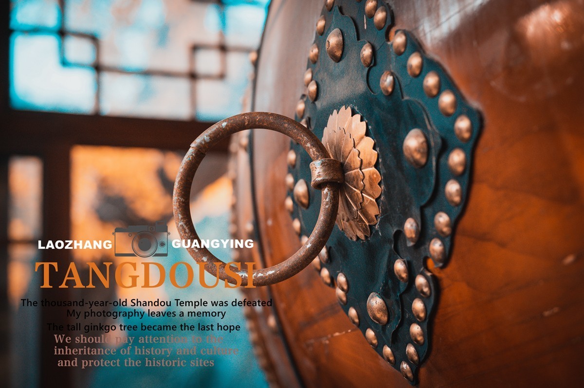 【老张光影】银杏飘零淌豆寺