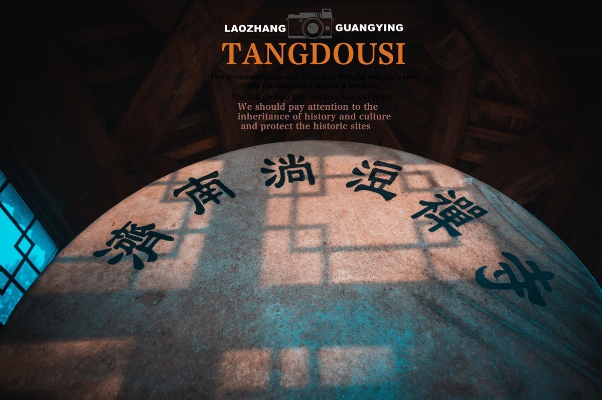 【老张光影】银杏飘零淌豆寺