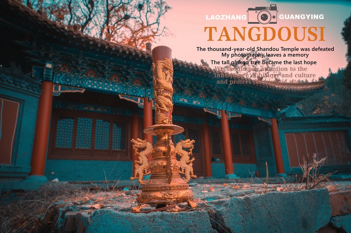 【老张光影】银杏飘零淌豆寺