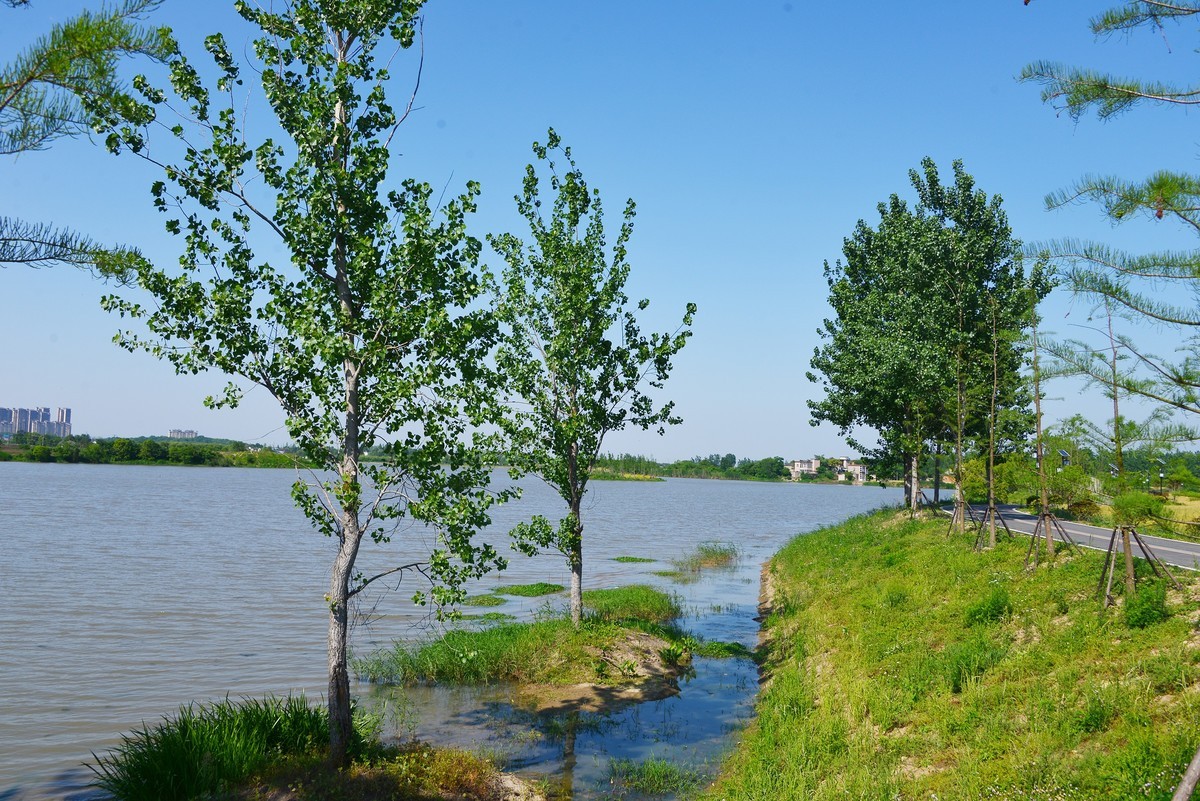 三湖一坝生态湿地公园