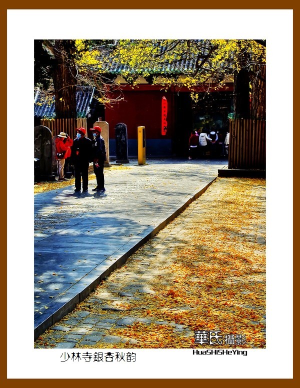 2020西西南北行（游走河南099）——少林寺银杏秋韵（郑州市登封）