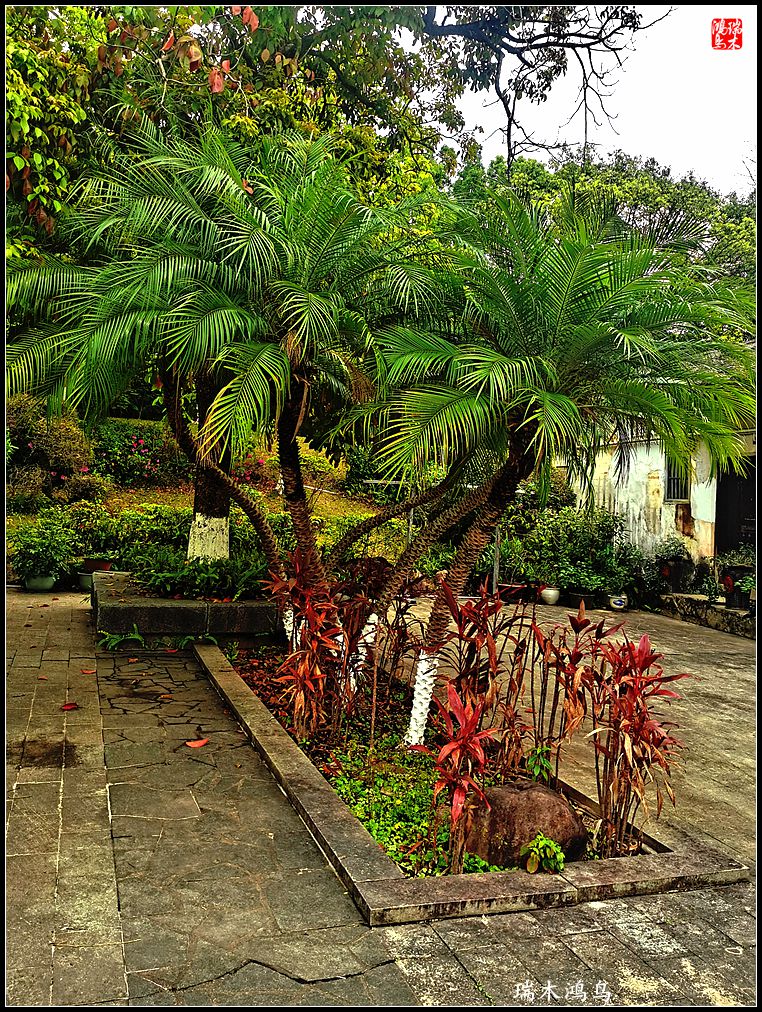 【印象潮汕】24.ye剑英纪念园纪行