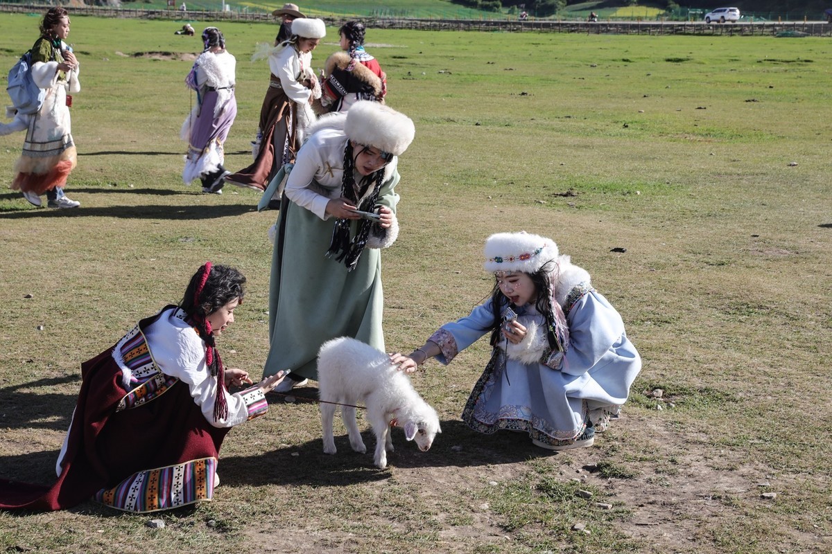 香格里拉--纳帕海打卡的游客124