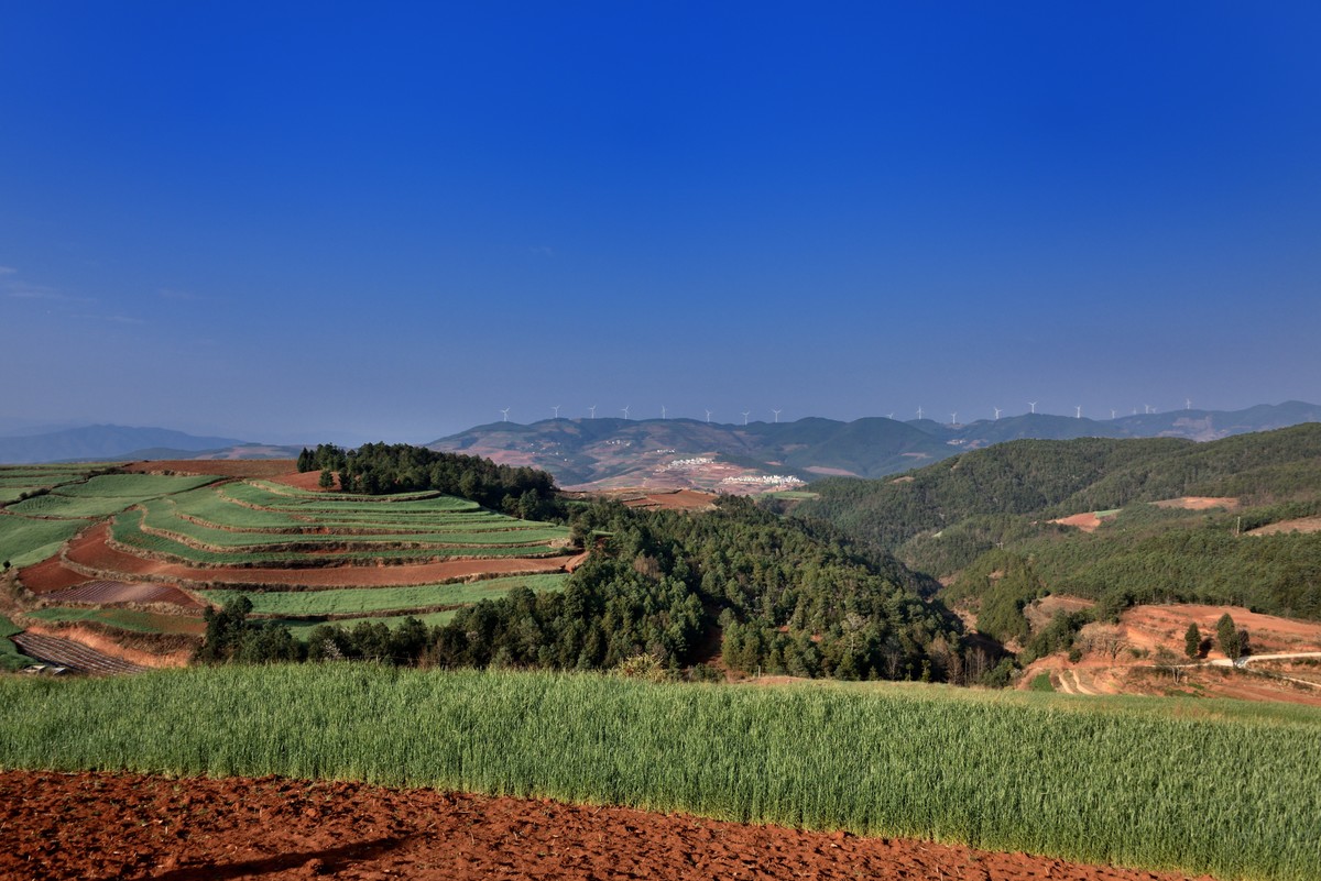 晨拍红土地【下】