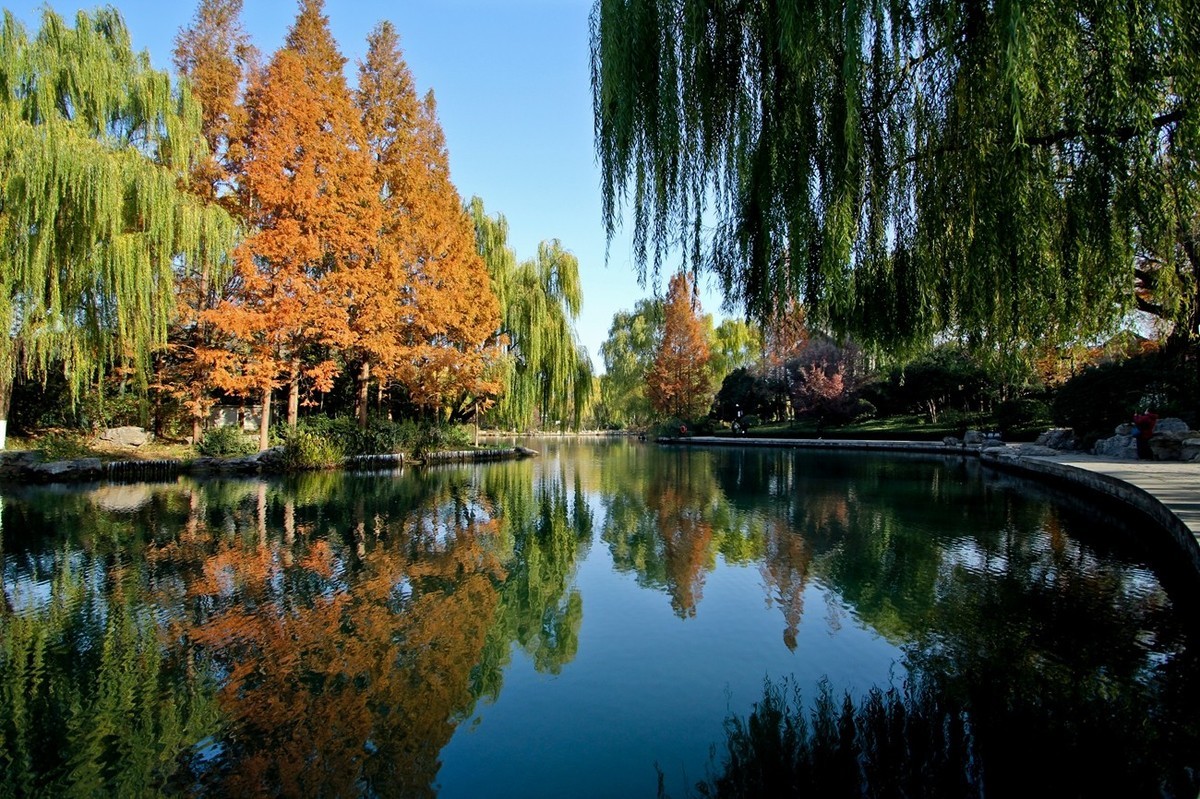 冬日——明湖风光（二）