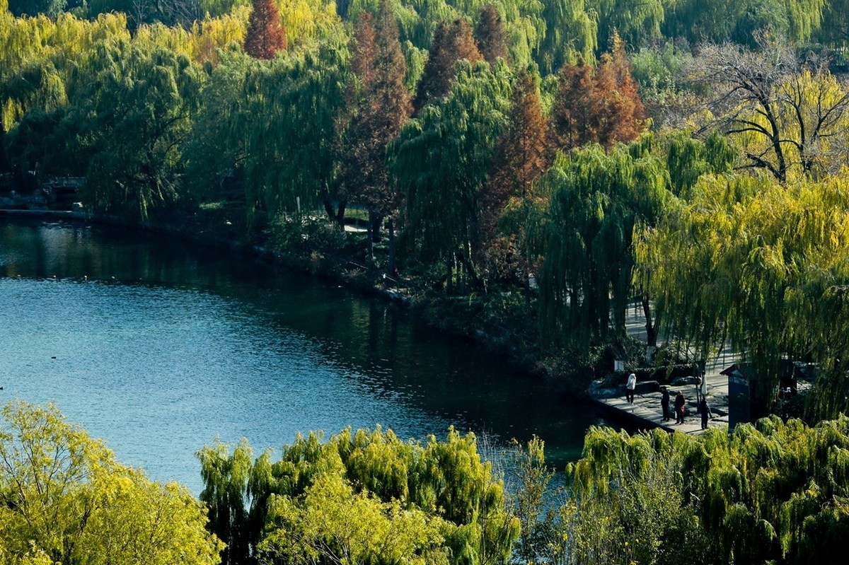 冬日——明湖风光（二）