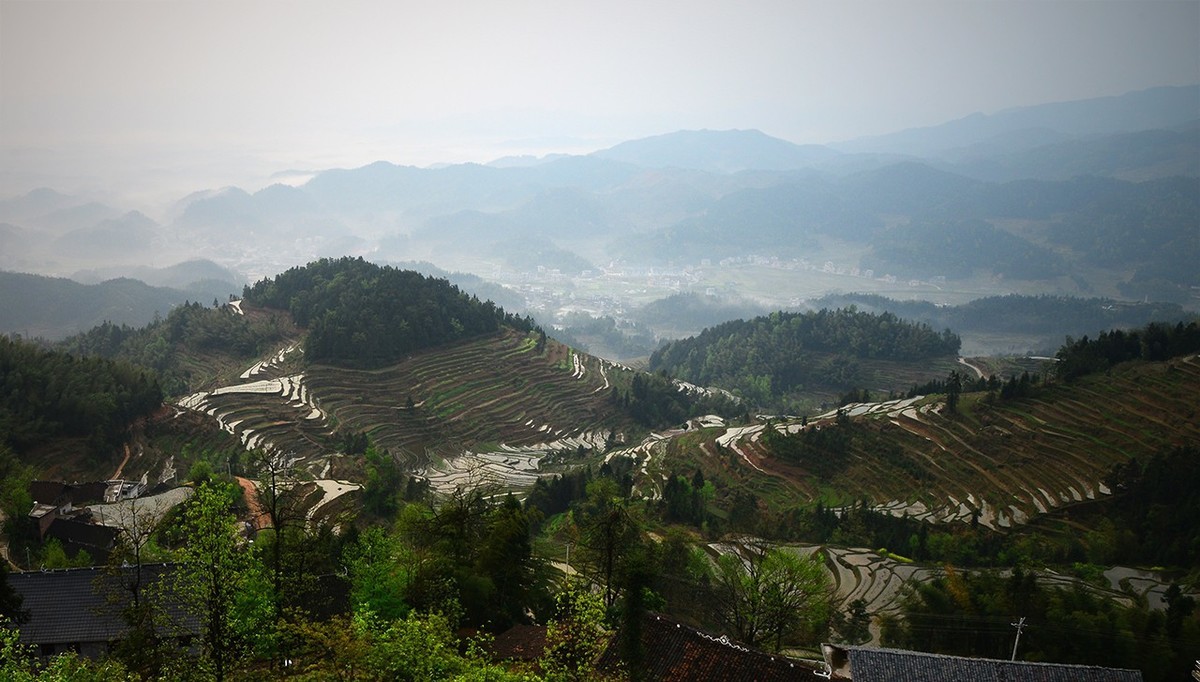 紫  鹊  界  梯  田