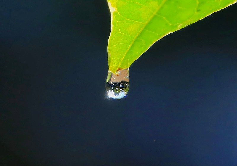 697【不老松：海南游摄纪实】临高长島兰湾：初拍水滴！不成样子！(没有微距镜头及必须