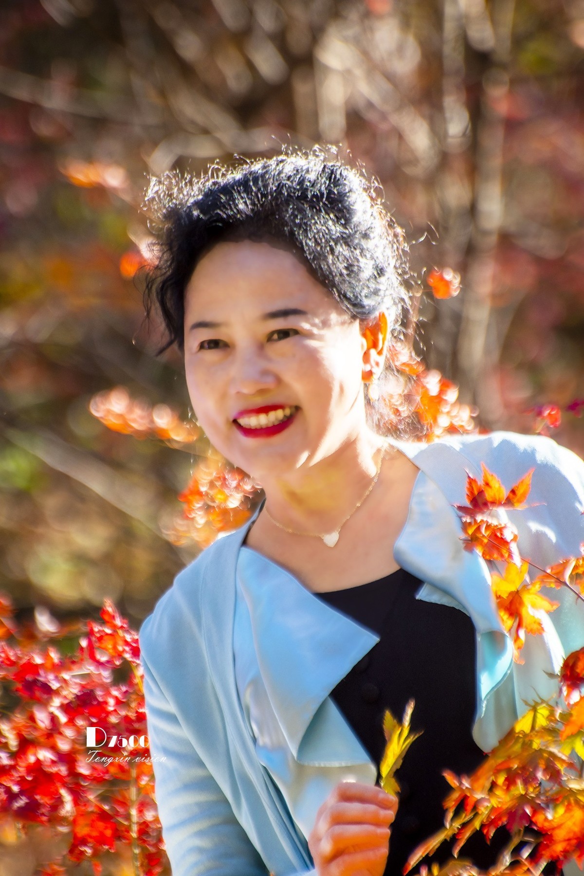 #留住美丽秋天# ——美在枫里