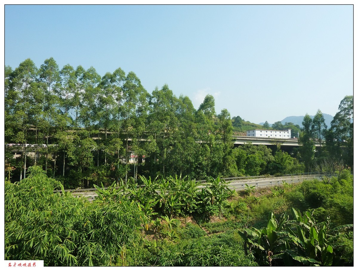 家乡的风景------福建南平延平建溪(常坑段)河畔风光(下)