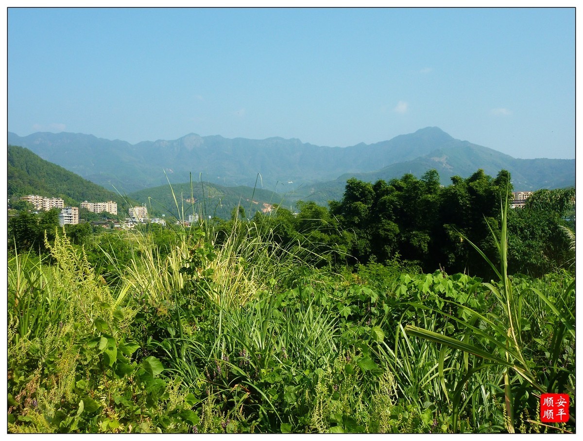 家乡的风景------福建南平延平建溪(常坑段)河畔风光(下)