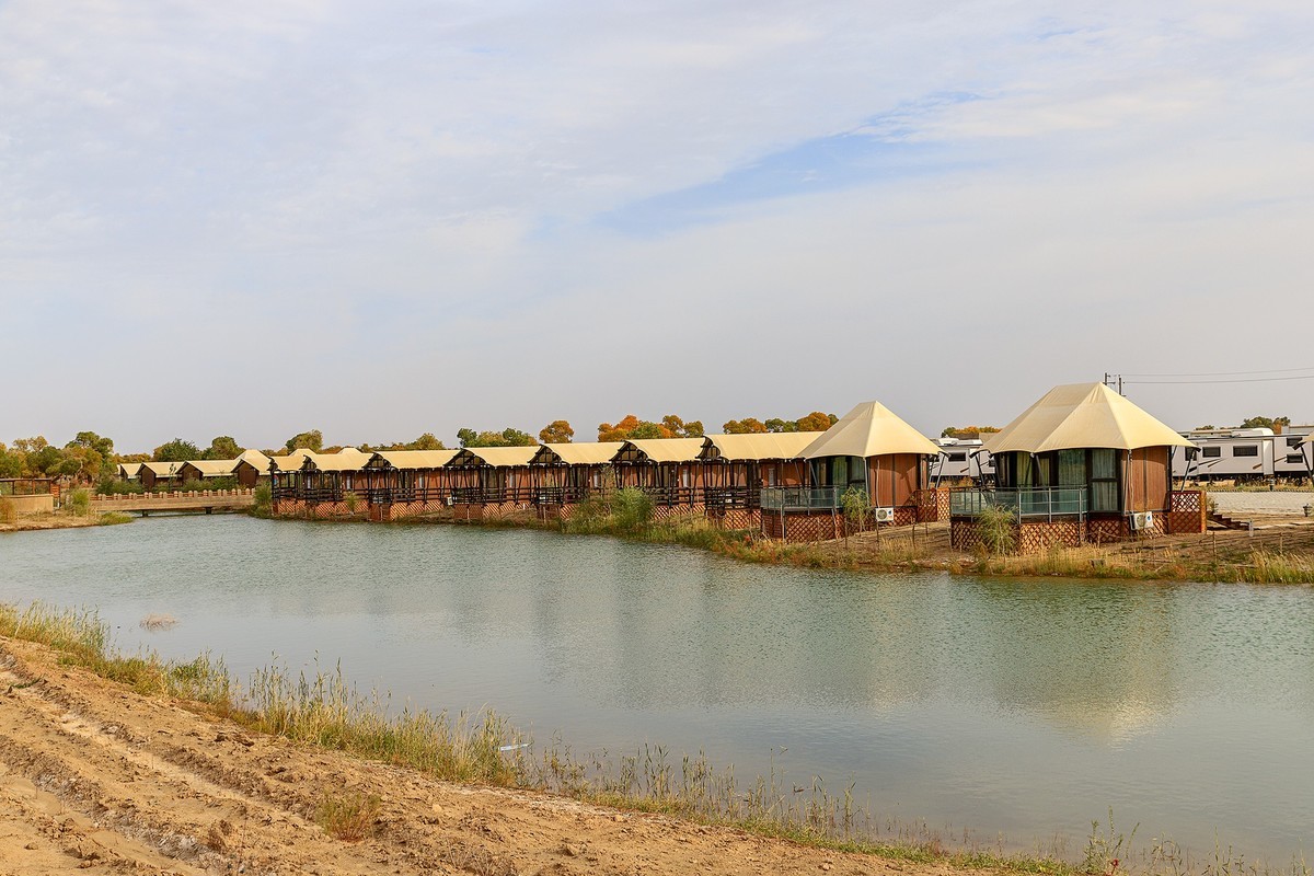 旅游记录：内蒙古 · 额济纳 · 弱水胡杨景区