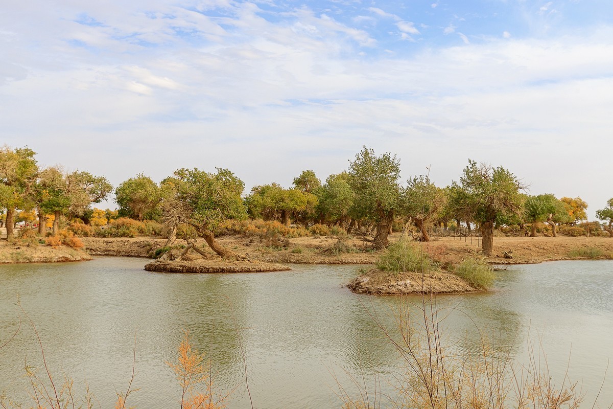 旅游记录：内蒙古 · 额济纳 · 弱水胡杨景区
