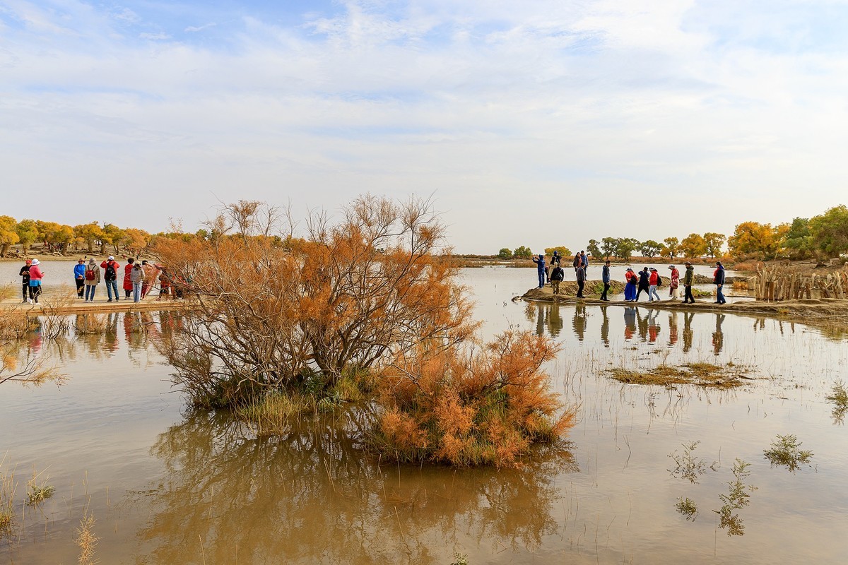 旅游记录：内蒙古 · 额济纳 · 弱水胡杨景区
