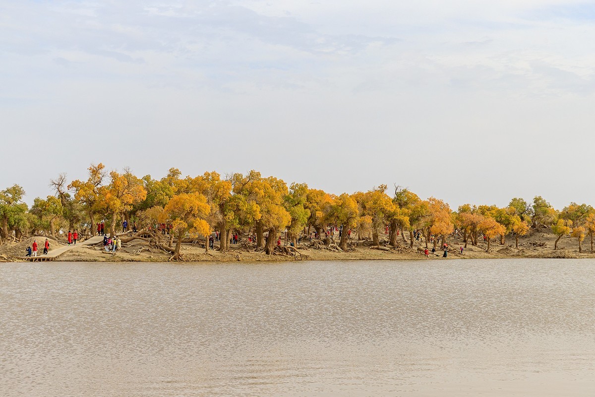 旅游记录：内蒙古 · 额济纳 · 弱水胡杨景区