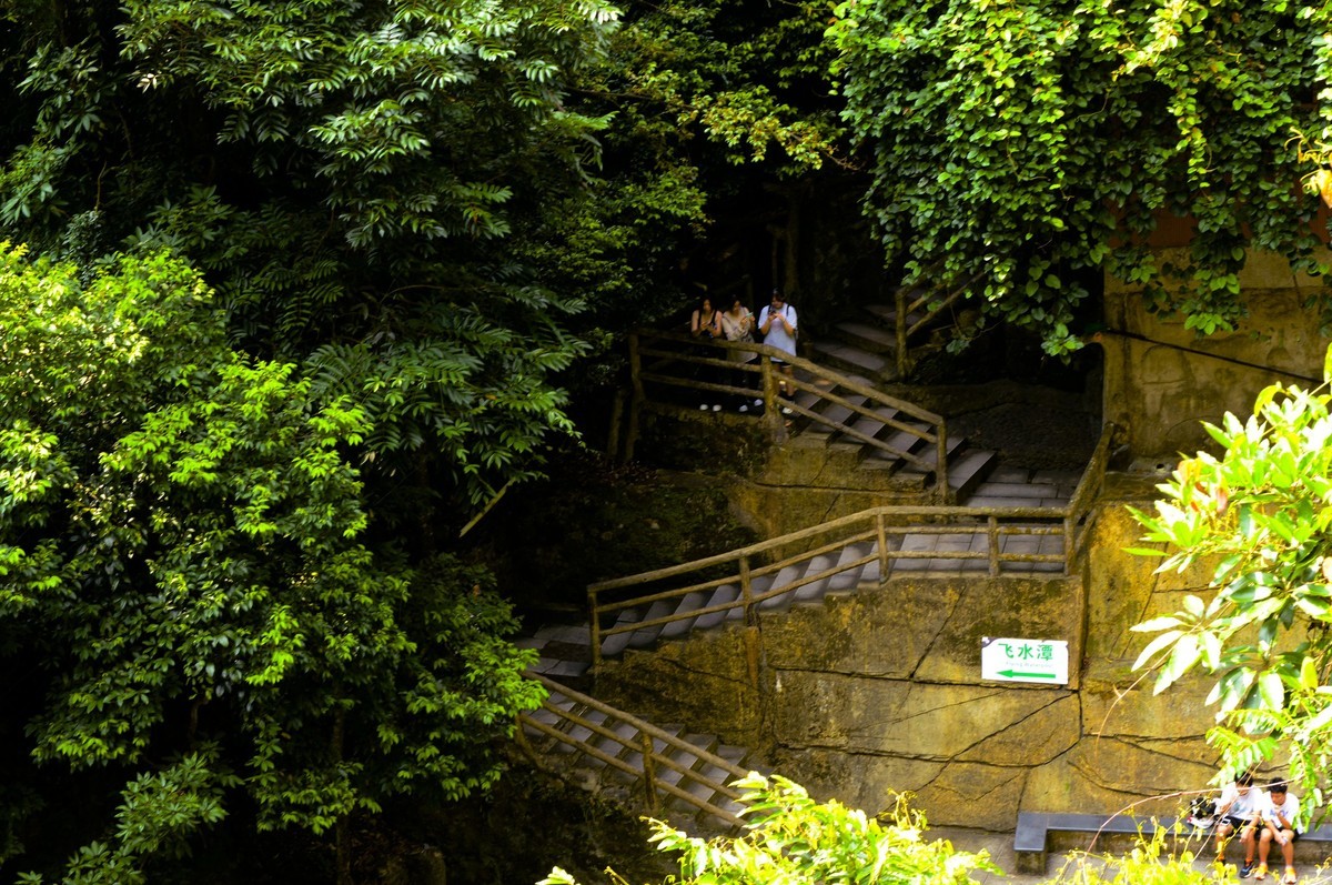 鼎湖山随拍（二）