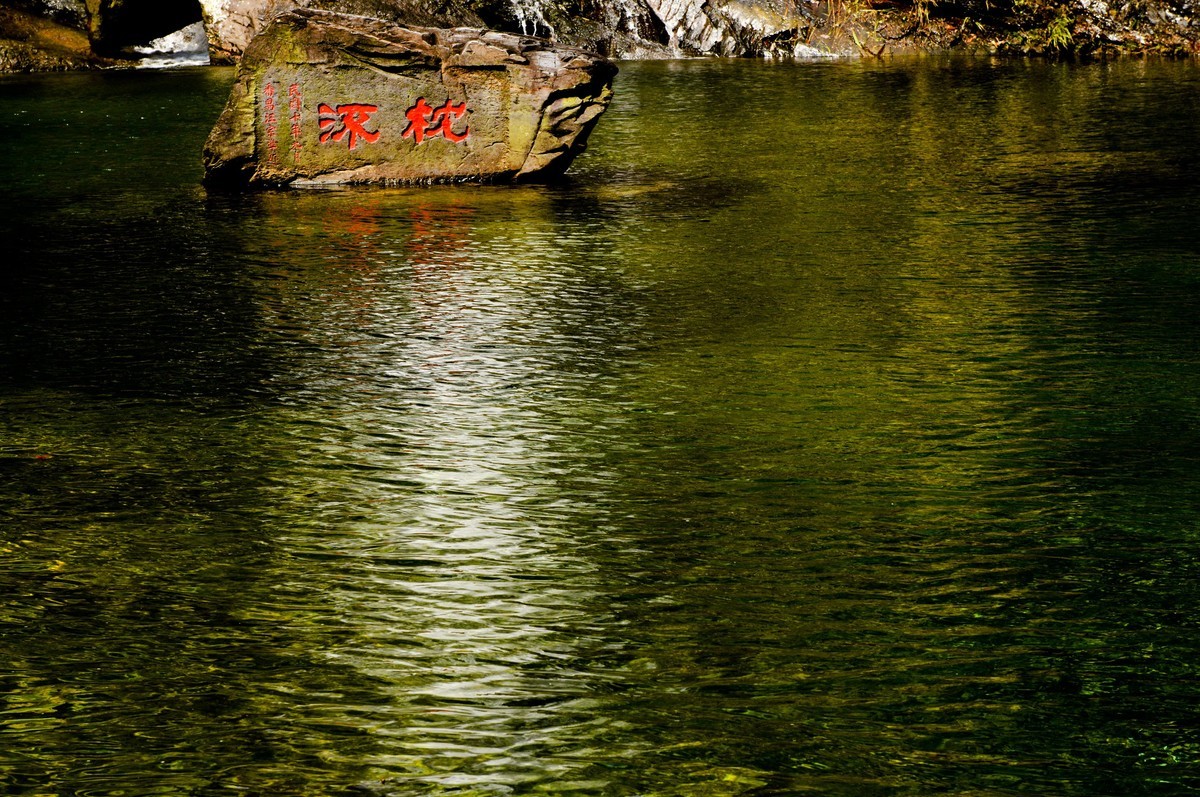 鼎湖山随拍（二）