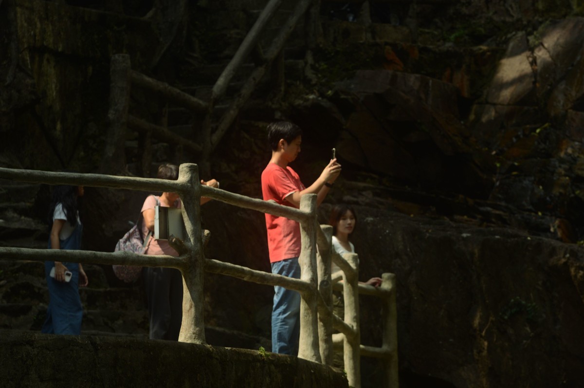 鼎湖山随拍（二）