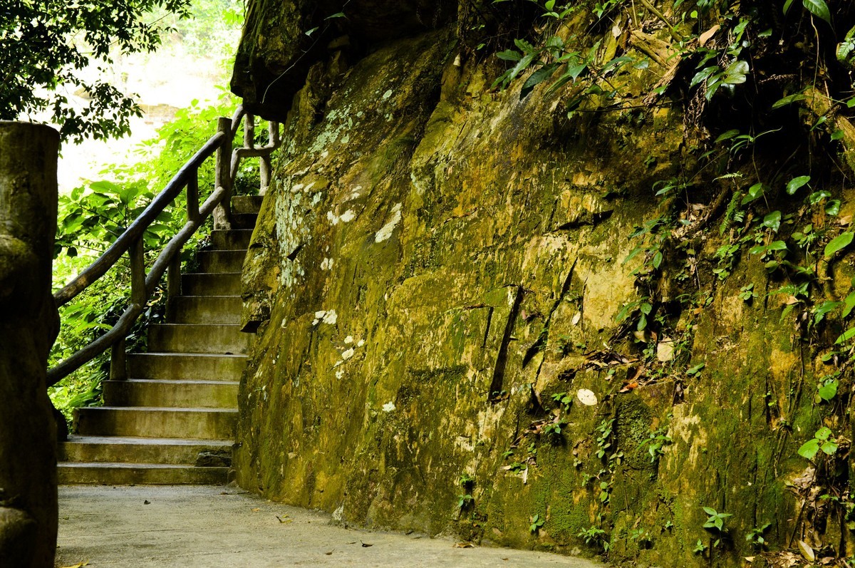 鼎湖山随拍（二）