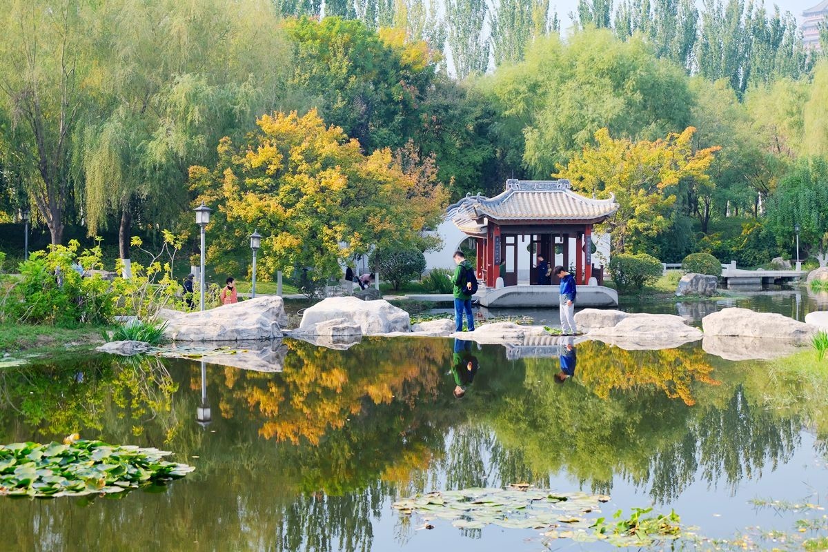 园博园秋【一】