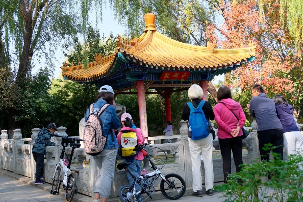 园博园秋【一】