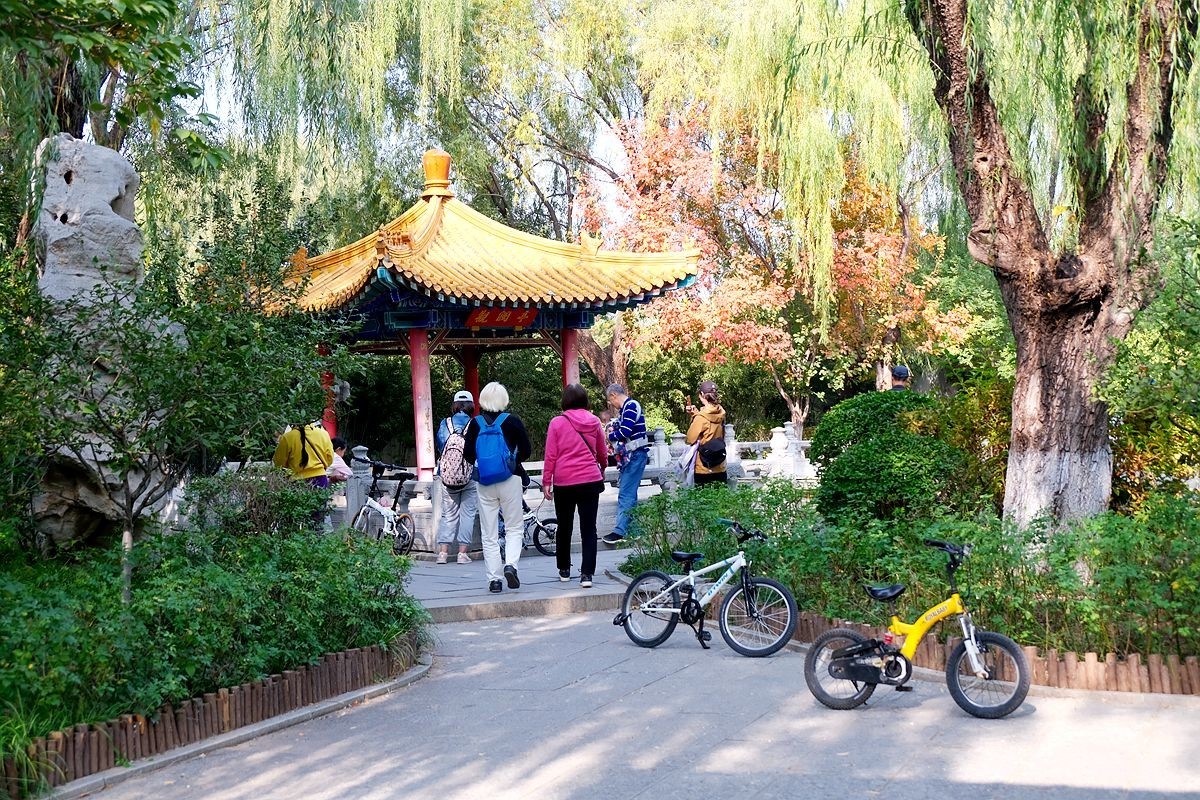 园博园秋【一】