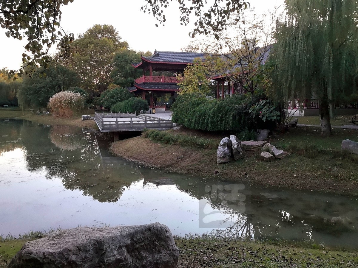 和风秋叶*堤角公园——武汉随笔