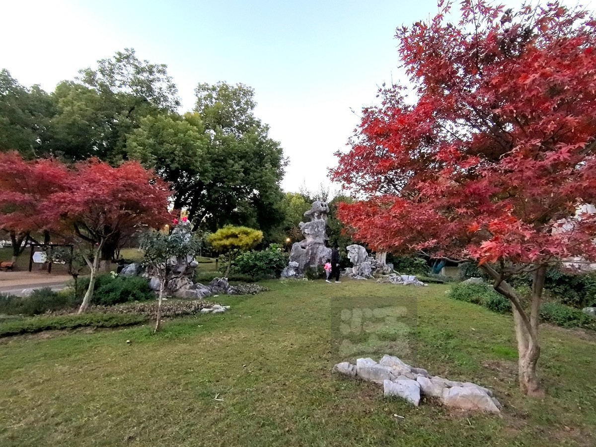 和风秋叶*堤角公园——武汉随笔