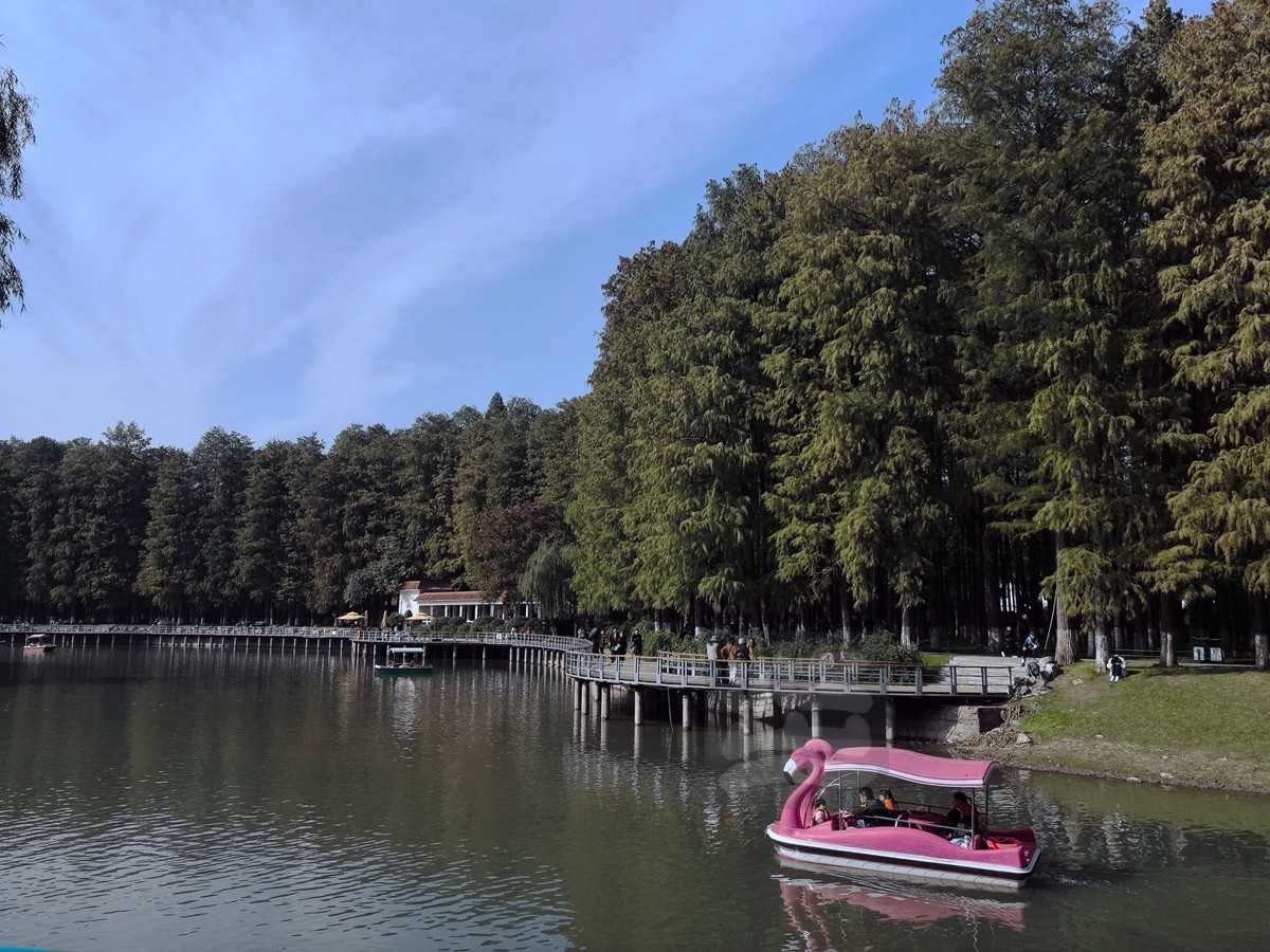 悠闲周末解放公园武汉随笔