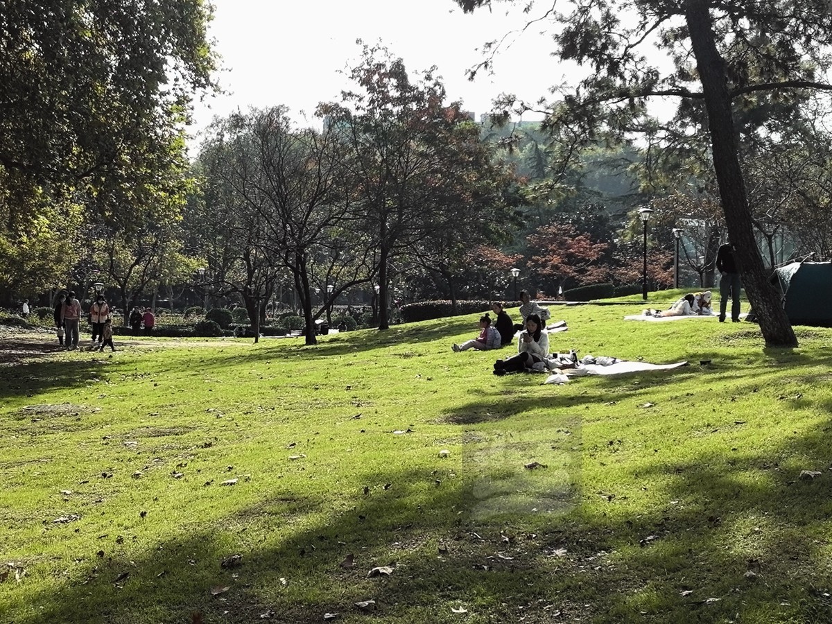 悠闲周末解放公园武汉随笔