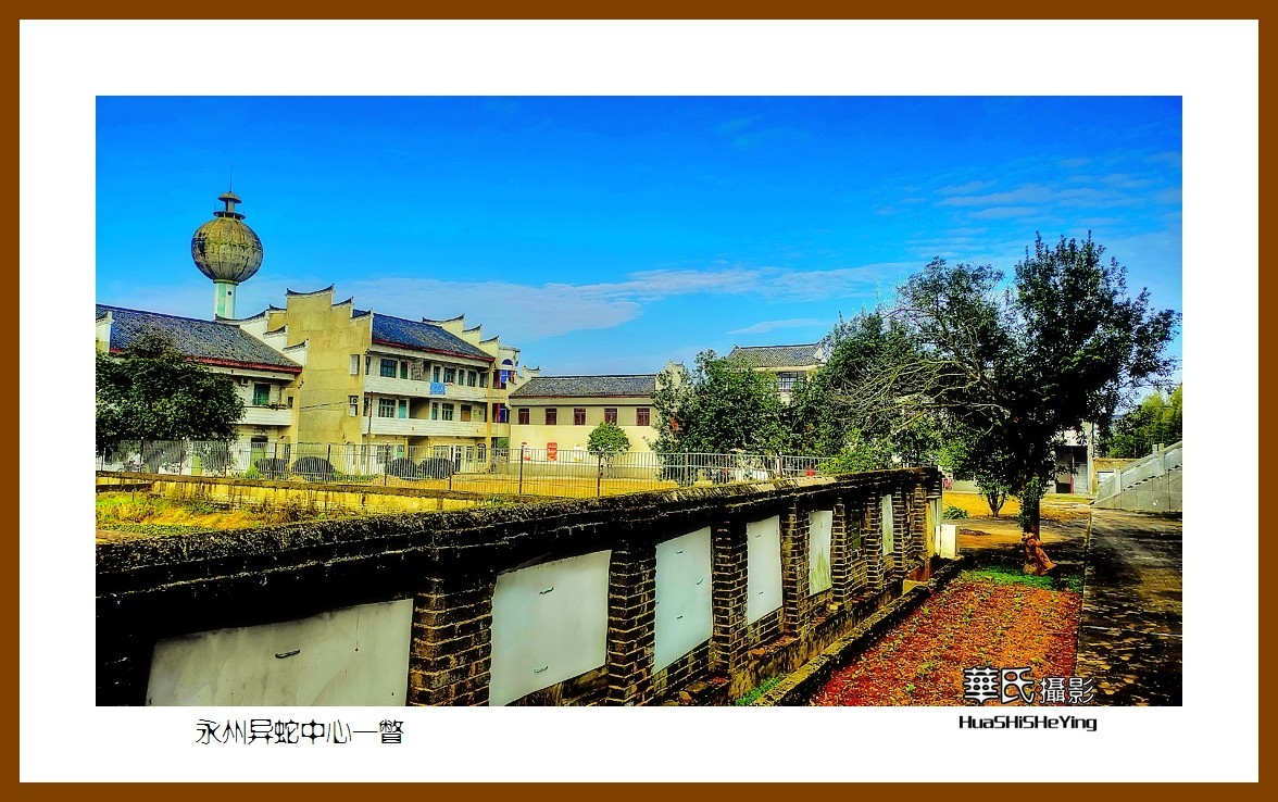 2021南行慢游（湖南105）——永州异蛇中心一瞥（永州市）