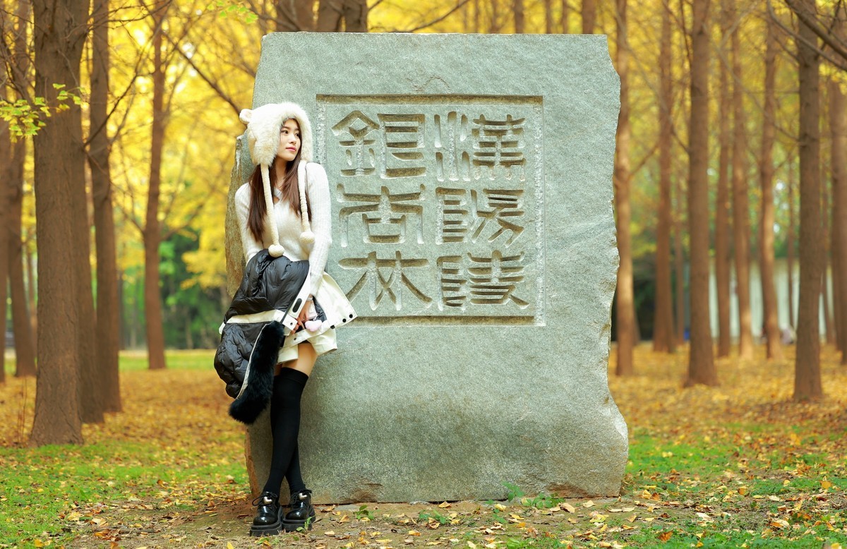 汉阳陵银杏林外拍