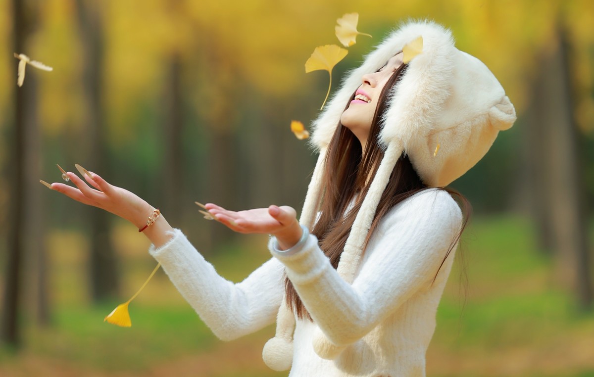 汉阳陵银杏林外拍