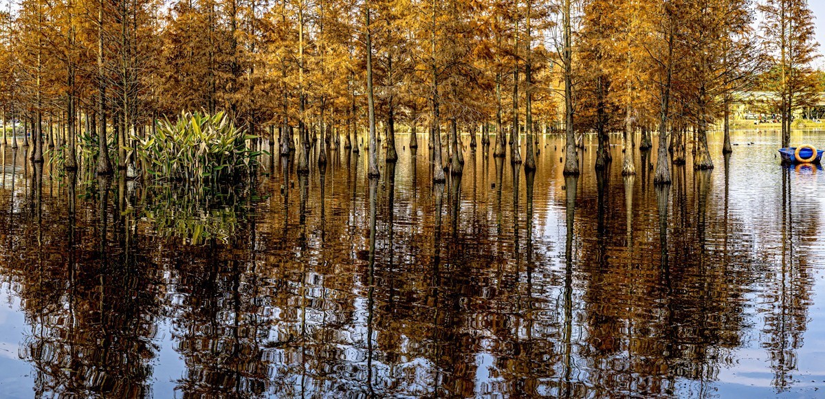 成都白鹭湾湿地公园【2】