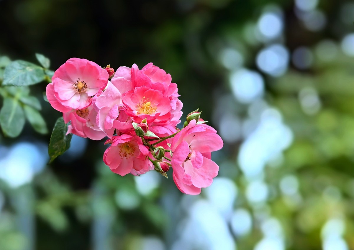 城市光影碎片之六十九