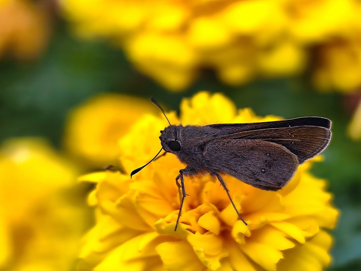 城市光影碎片之六十九