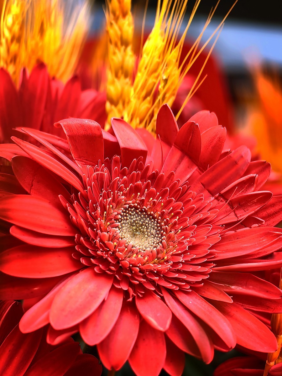 城市光影碎片之六十九