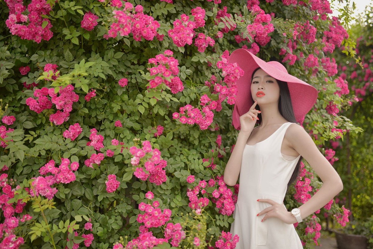 玫瑰仙子 （2)