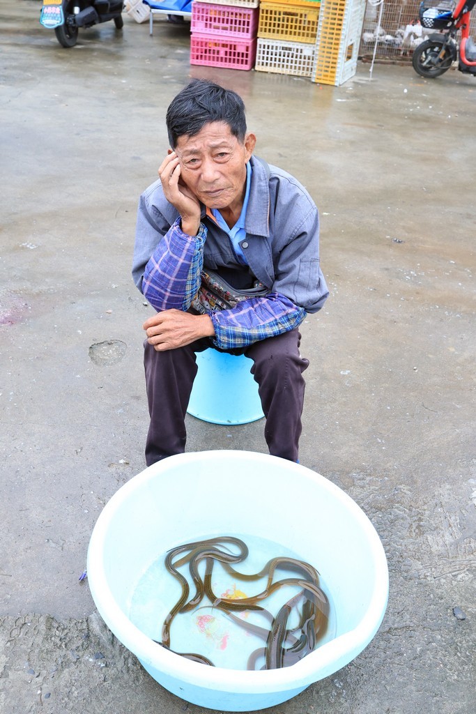 恢复出来的照片 ------ 2