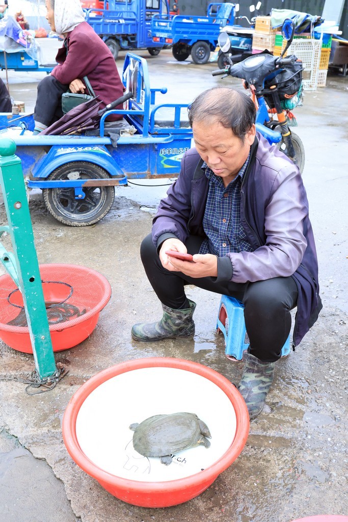 恢复出来的照片 ------ 2