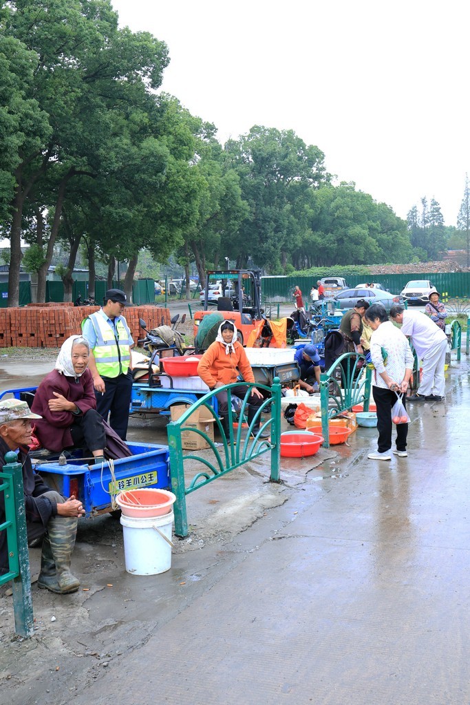 恢复出来的照片 ------ 2