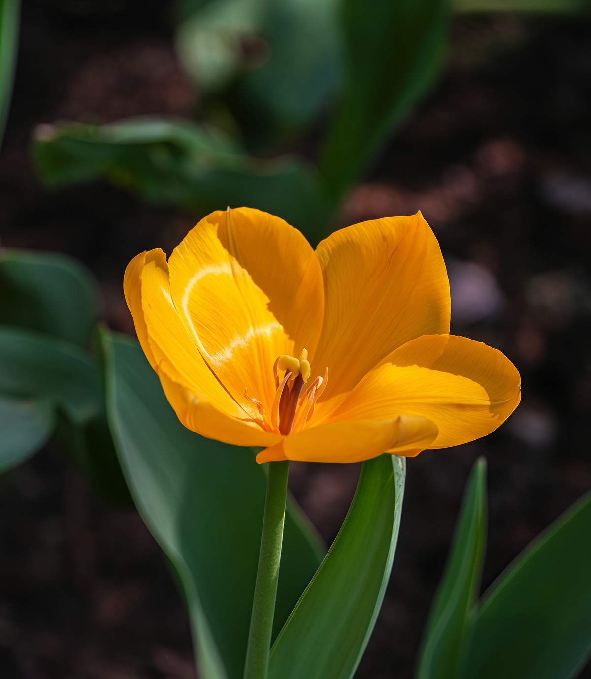 春游中山公园20250403 《2》