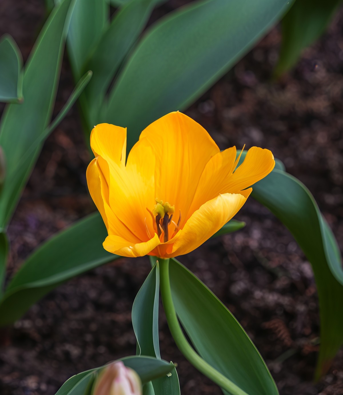 春游中山公园20250403 《2》