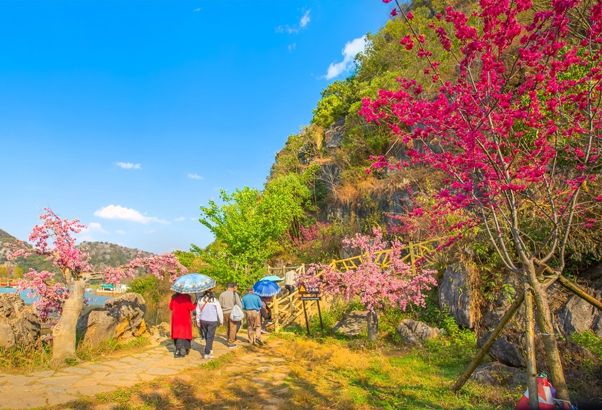 2025-04-17云南普者黑三生三世十里桃花（一）